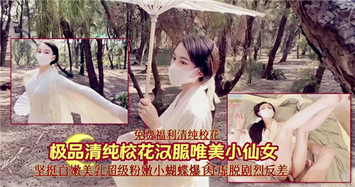 极品清纯校花汉服唯美小仙女 海报