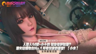 人造人14号-小十四 娃友佳评如潮？｜屠夫站购物台No.1 所有玩家的最爱！【小夫】 海报