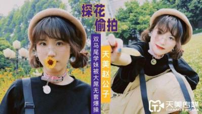 【天美传媒】赵公子探花双马尾学妹被大屌无套爆插. 海报
