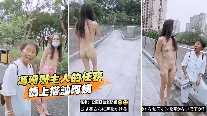 冯珊珊主人的任务，桥上搭讪阿姨 海报