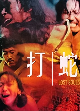 打蛇LostSouls1980BD1080PX264AAC国粤双语中字 海报